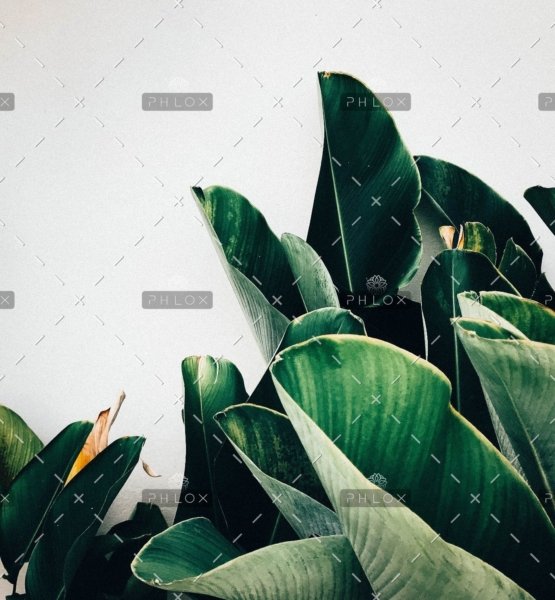 demo-attachment-385-kiki-siepel-787802-unsplash